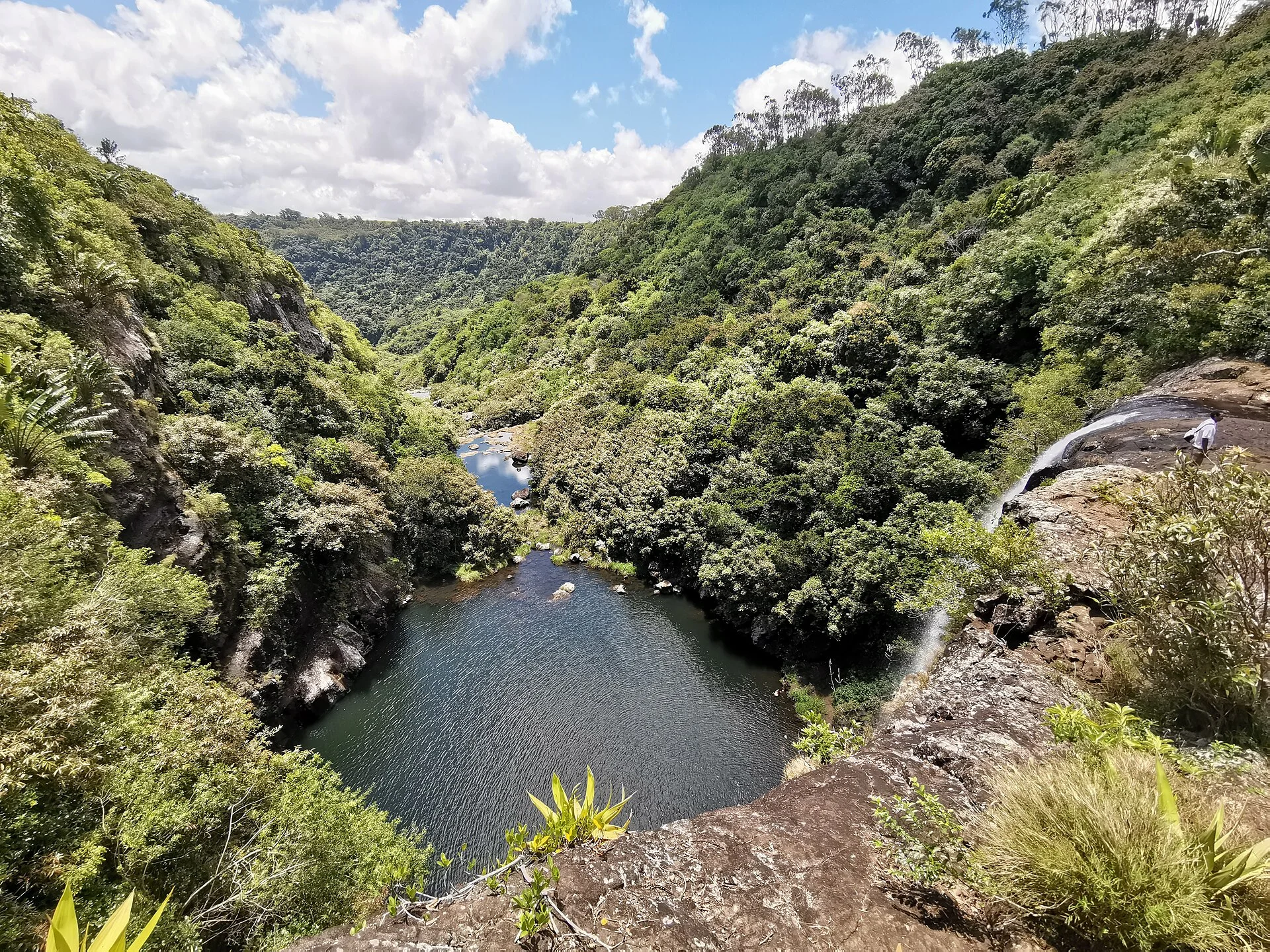 The forested gorge and pools at Tamarind Falls